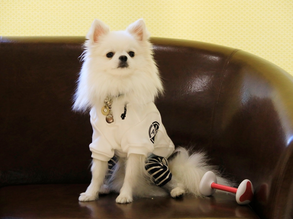 家具は丈夫な素材を使用　※イメージ