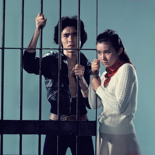 「さらば夏の光よ」©1976松竹株式会社