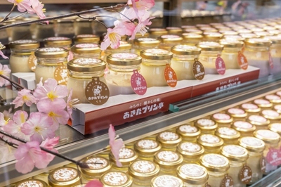 プリンショーケース