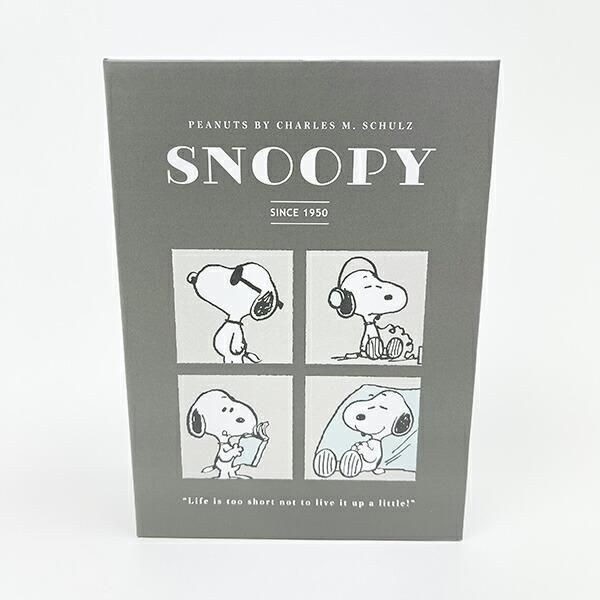 スヌーピーの収納箱