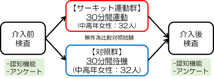 図1 研究の方法の概要(東北大提供)