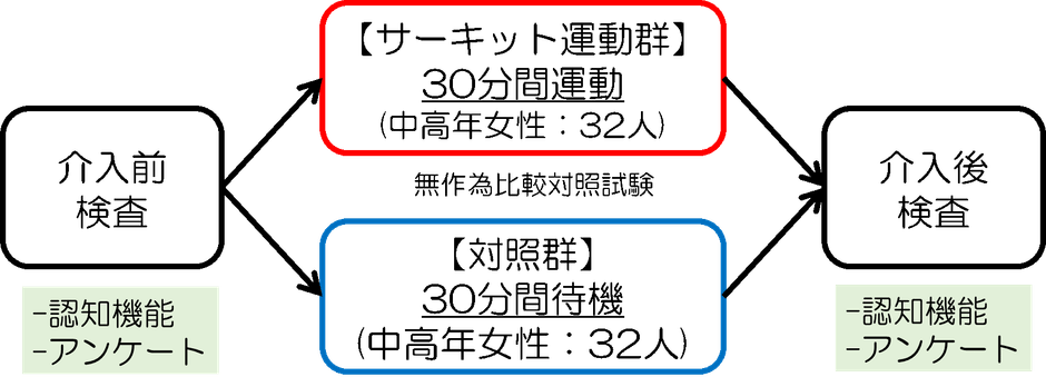 図1 研究の方法の概要(東北大提供)
