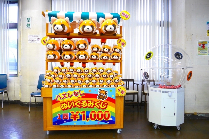 特等の巨大レッサーパンダが当たるかな? 必ずぬいぐるみが当たる「ぬいぐるみくじ」