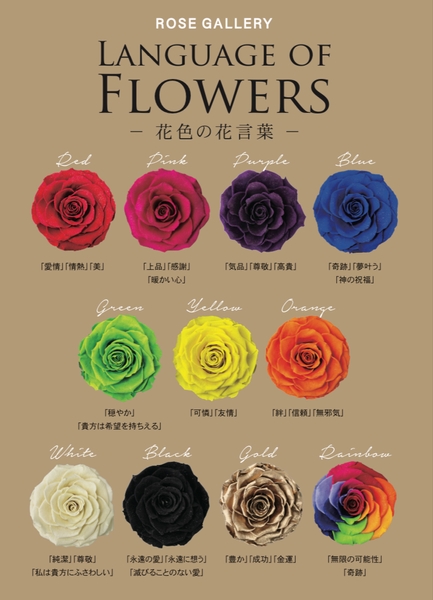 薔薇の色言葉に合わせて贈られてはいかがでしょうか