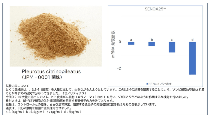 老化細胞を除去するセノリティクス新素材 「SENOX25(TM)」に関する情報