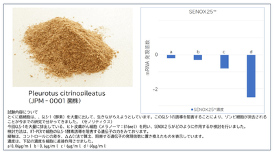SENOX25(TM)と試験データ