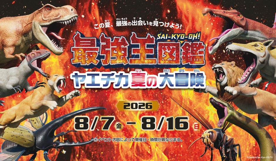 1_最強王図鑑 ヤエチカ夏の大冒険メインビジュアル