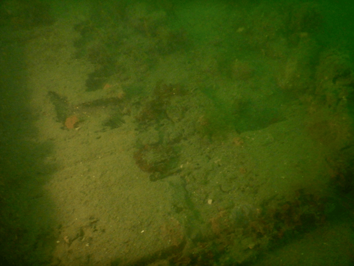 図5. 近世のものと考えられる沈没船の船体 （2024年5月31日、山本俊政 准教授 撮影）