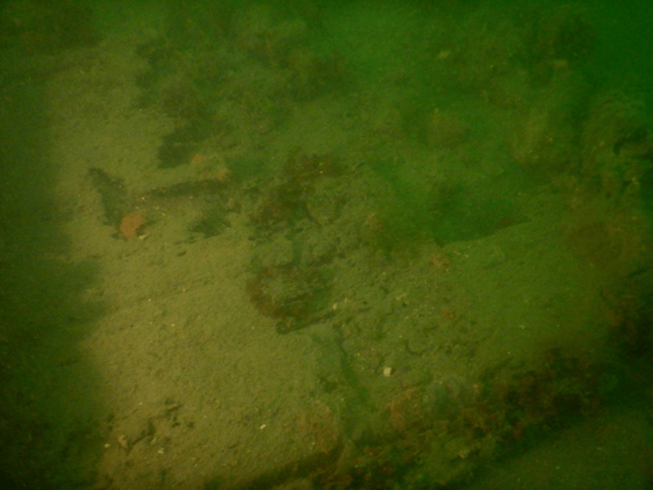 図5. 近世のものと考えられる沈没船の船体 (2024年5月31日、山本俊政 准教授 撮影)