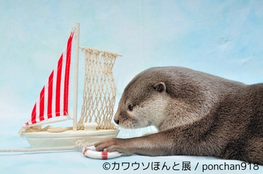 SNS人気上昇中「カワウソ」尽くしの企画展！ 写真・動画から限定グッズまで集合、7月7日～23日開催