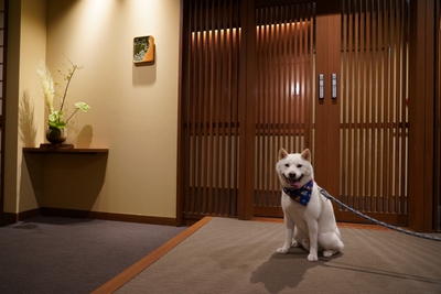 暖灯館 きくのや(イメージ) (2)