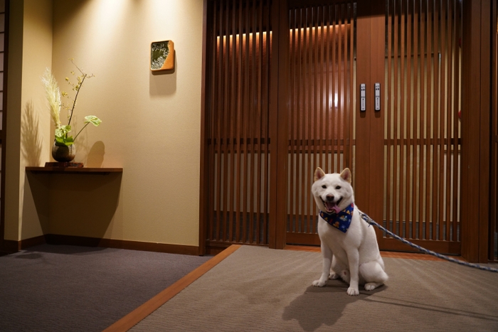 暖灯館 きくのや(イメージ)　(2)