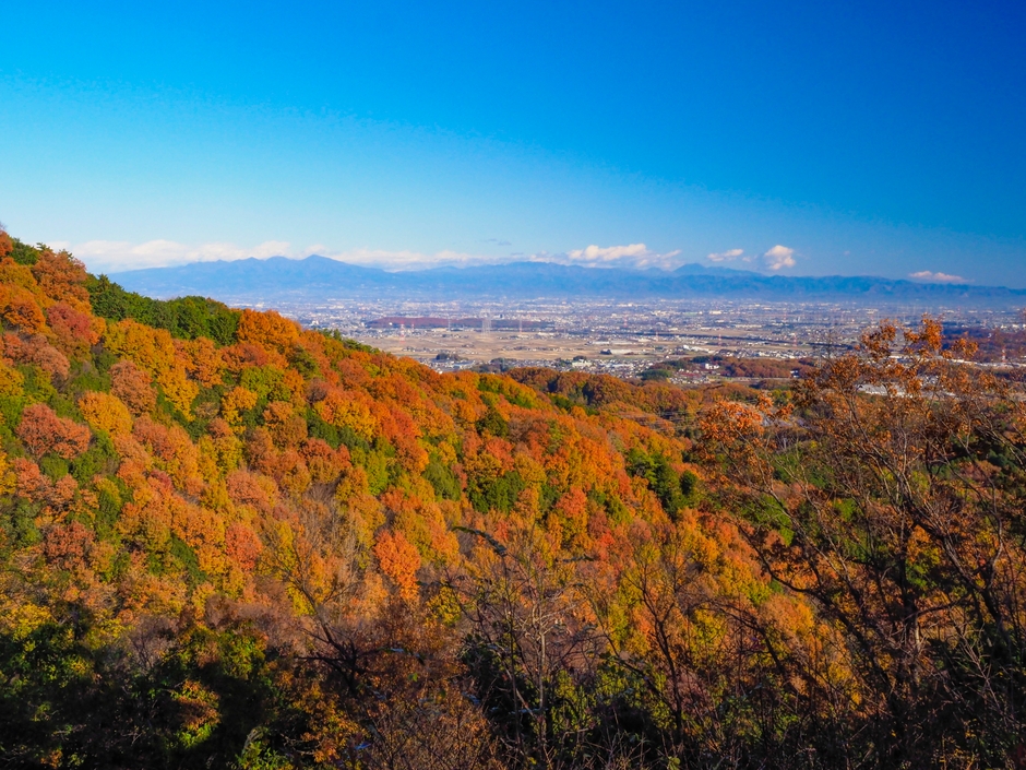 鐘撞堂山コースから見える景色(紅葉時)