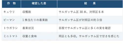 カリブ海に漂着する「サルガッサム」を堆肥化　 滋賀県の試験農場で農業利用の可能性を検証