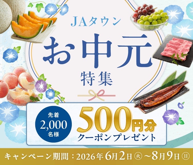 お中元特集