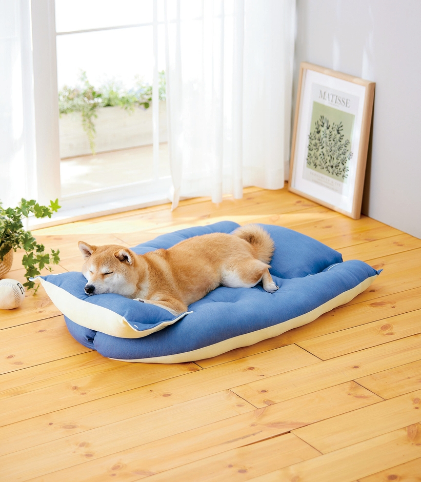 Sippole 3WAYもちふわクッション―3WAYでどんな寝姿にもフィット♪