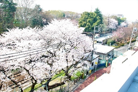 PR写真
