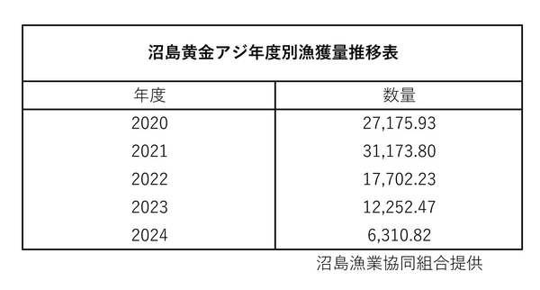 沼島黄金アジの漁獲量は年々減少しており、希少価値が高くなっている