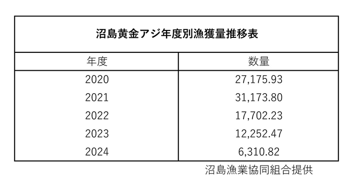 沼島黄金アジの漁獲量は年々減少しており、希少価値が高くなっている
