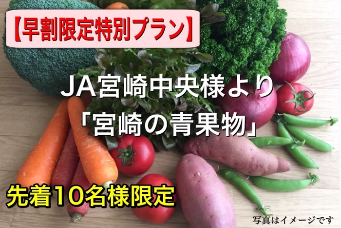 JA宮崎中央様より「宮崎の青果物」