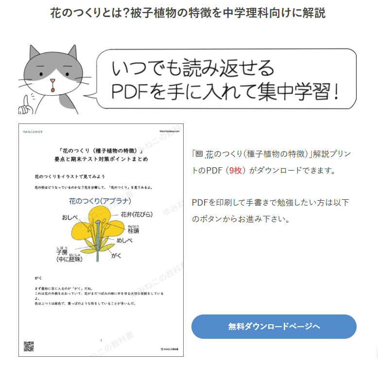 印刷して使えるPDF教材も無料で提供