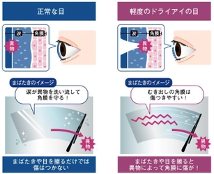 ～目のケアは潤すだけではない。角膜の傷をケアする時代へ。～ 目を酷使している人の73％が角膜に傷がついていた！ 角膜の傷リスクがわかるチェックリスト＆角膜ケア方法を紹介