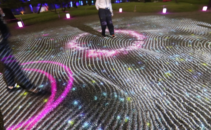 プロジェクション (昨年の様子)