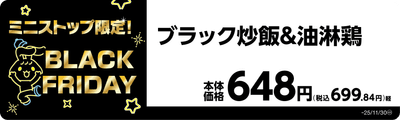 ブラック炒飯＆油淋鶏　販促画像