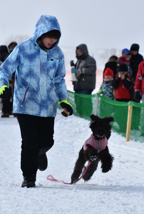 ワンワンダッシュ(愛犬レース)