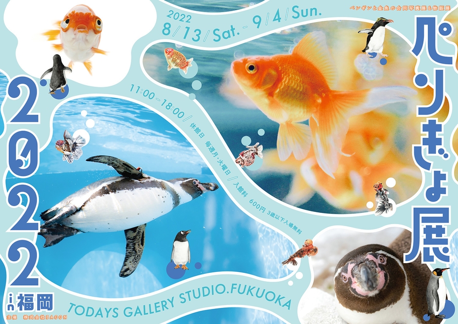 キービジュアル(横)