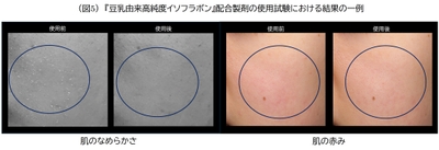 (図5)豆乳由来高純度イソフラボン配合製剤の使用試験における結果の一例