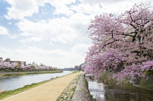 鴨川河川敷