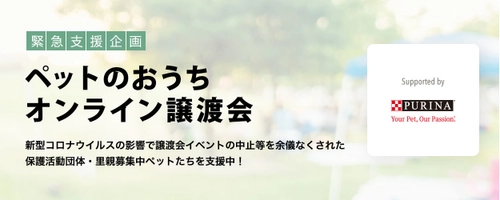 緊急支援企画！オンライン譲渡会で保護犬・猫の譲渡をサポート