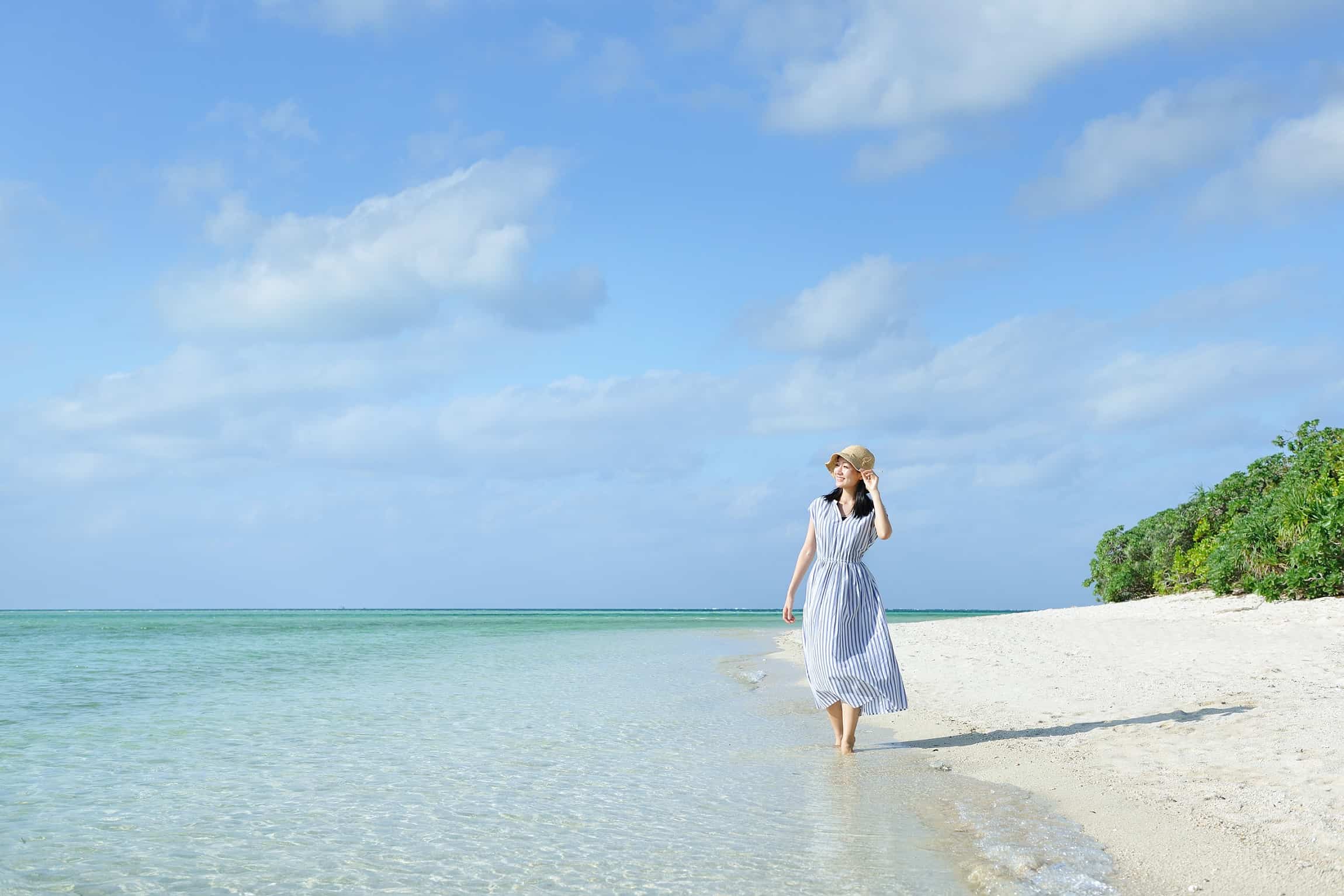 珊瑚　拝見　ゾロ 珊瑚 拝見 ゾロ様専用