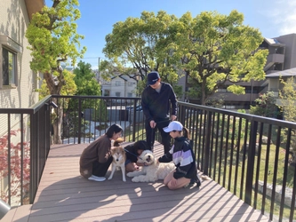 緑と犬とコミュニティと。 地域と共にあるシャーメゾン「The Villages」　 ～様々な事業を紹介する 「積水ハウス ストーリー」の最新情報を公開～
