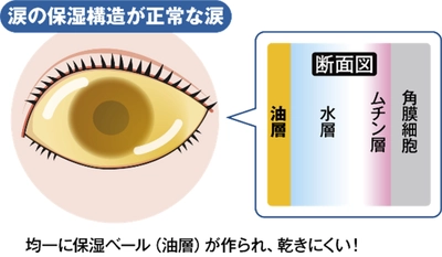 現代人の“まばたき”は浅くて半開きになりがち！？ ドライアイの原因となる“まばたき不全”に注意！ 眼科医が解説・まばたき不全と涙の蒸発を防ぐ “瞳の保湿ベール”とは