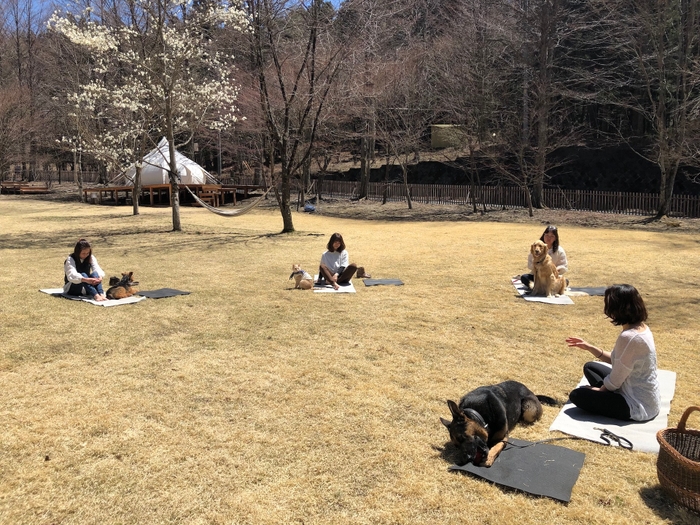 YOGA WITH DOGGY