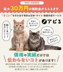 “すごい”を引き出すサービス「アピる！」が登場！ 最大30万円補助！新宿区経営力強化支援事業補助金対応