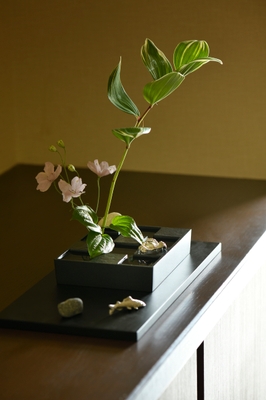 花材の使用例 玄関