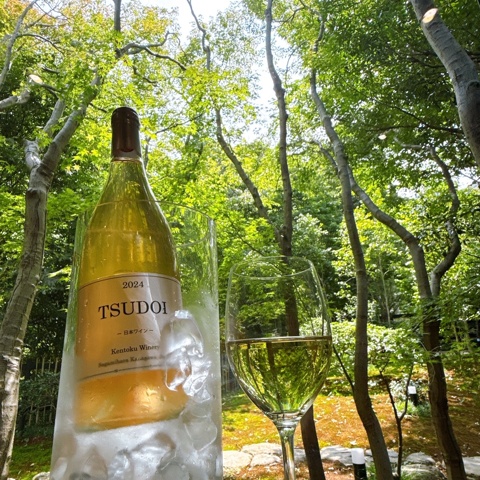 庭園とTSUDOI 2024