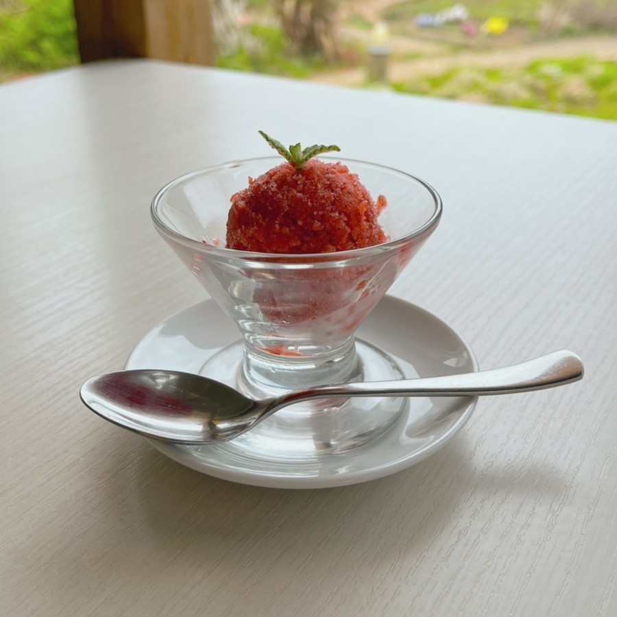 白浜いちご狩りセンターのよつぼし(苺)のシャーベット