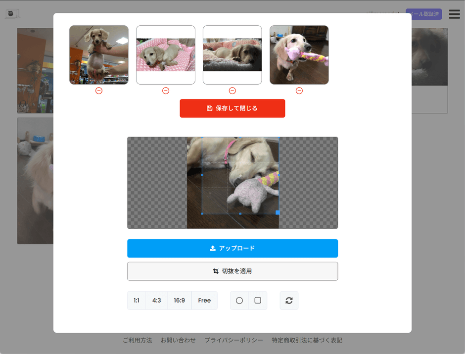 フォトギャラリー作成画面