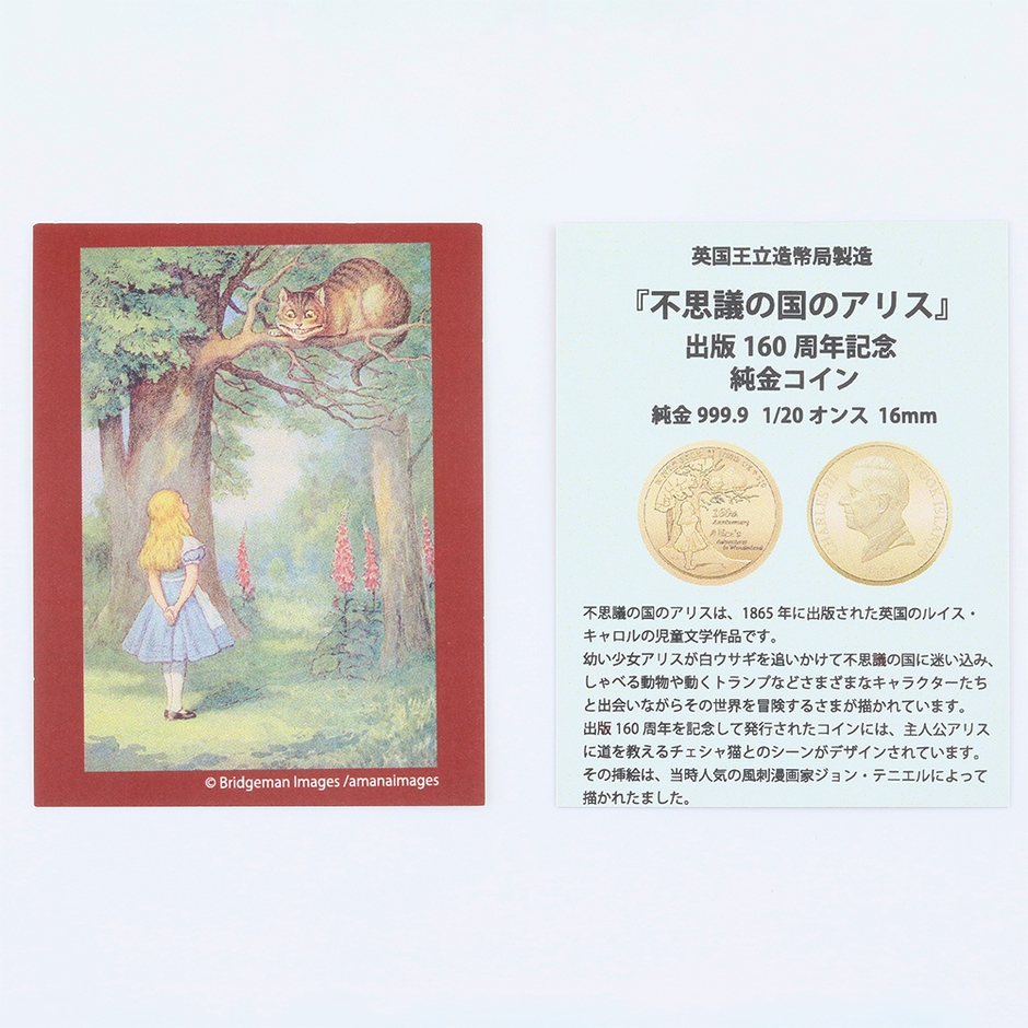 ライセンスカード