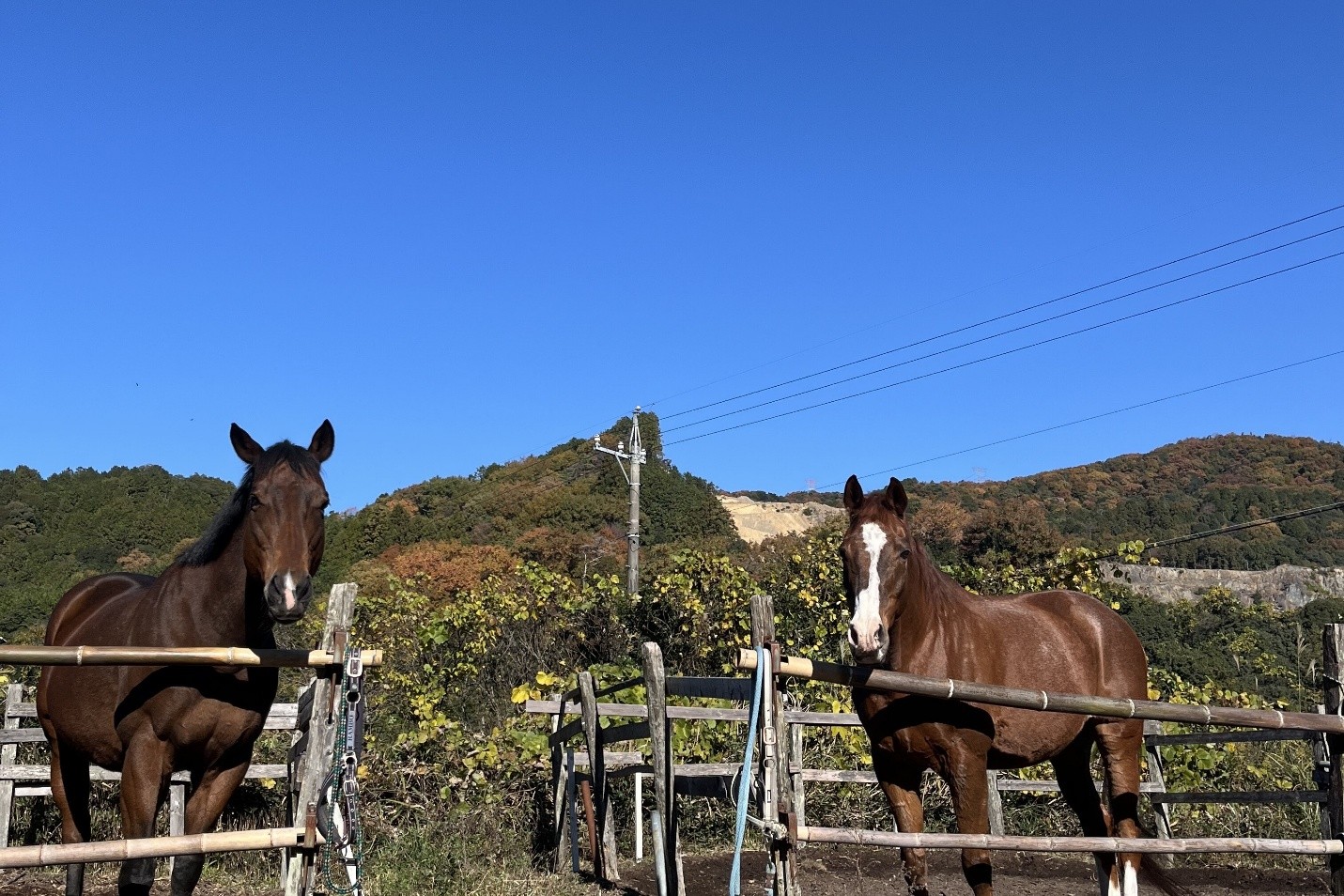 ヘイハチロウファームと進める「応援する気持ち」を支援に変える新業務提携