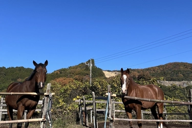 ヘイハチロウファームと進める「応援する気持ち」を支援に変える新業務提携