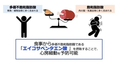 本研究の概要