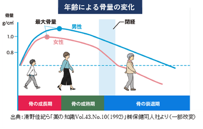 年齢による骨量の変化
