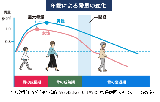 年齢による骨量の変化