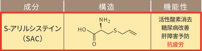 S-アリルシステイン