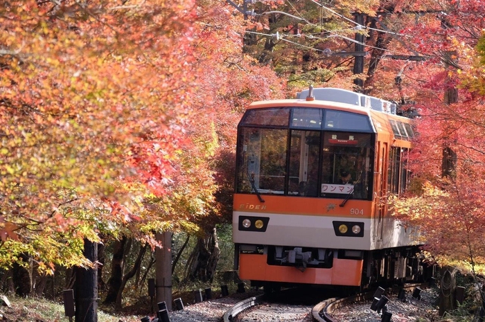 「もみじのトンネル」を走行する展望列車「きらら」